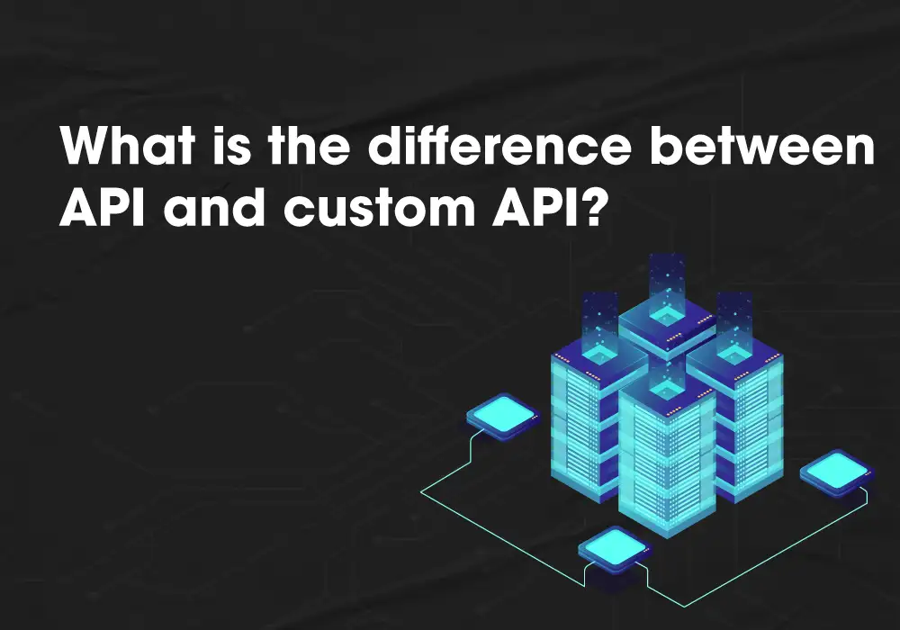 What is the difference between API and custom API?